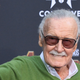 Lee, apparently in high spirits at the Avengers: Infinity War premiere.